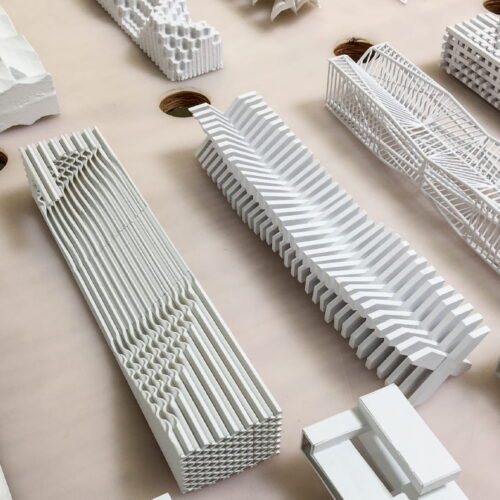 Natural Tendencies-Studio 1B 2017