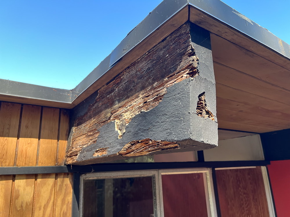 Oak Grove Renovation