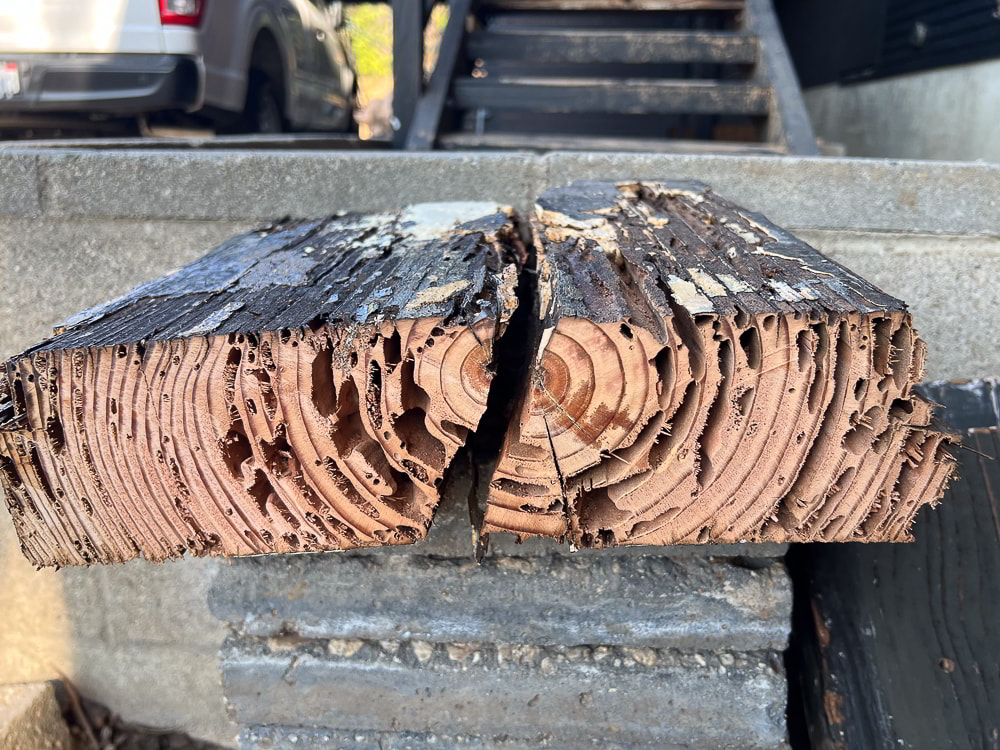 Oak Grove Renovation